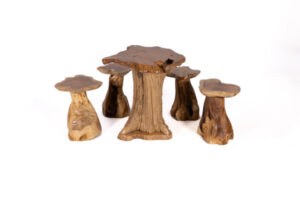 Set mesa y taburetes raíz teca